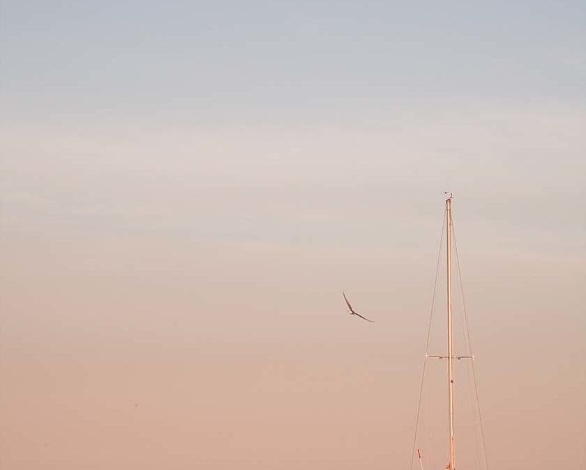 Pastel Boat