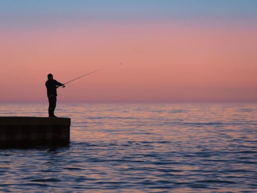 Fishing in the sunset
