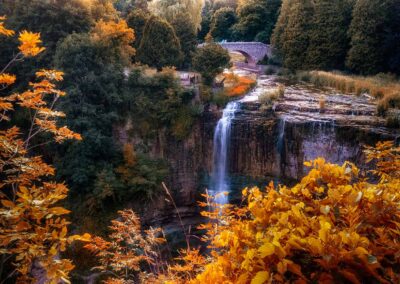 Fall Waterfall