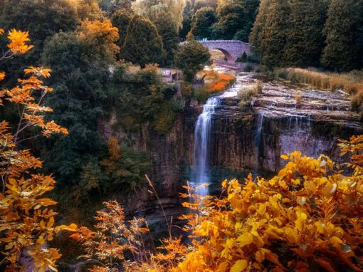 Fall Waterfall